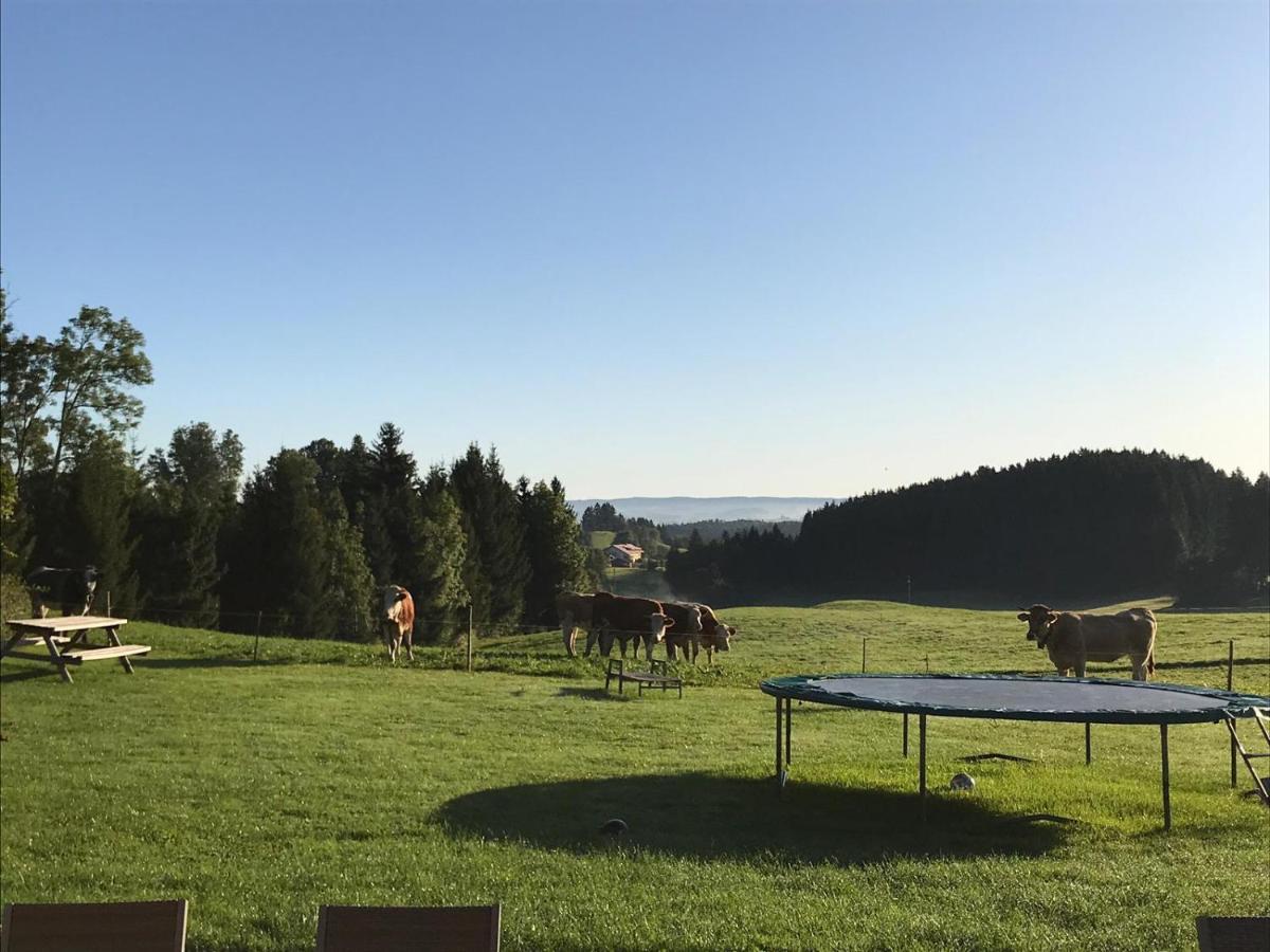 Gmeinder'S Landhaus Immenstadt im Allgaeu Luaran gambar